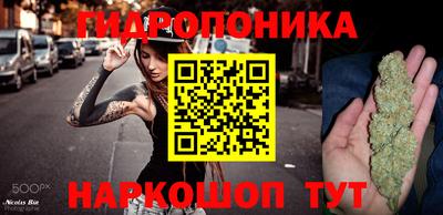 спайс Гагарин