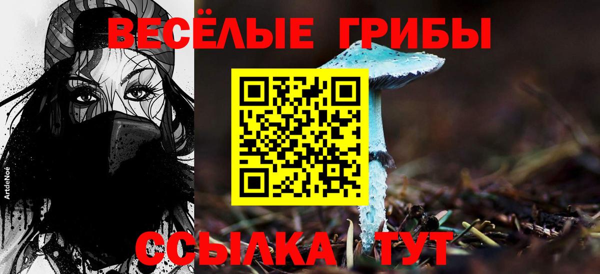 Псилоцибиновые грибы GOLDEN TEACHER  Вход с VPN  Псилоцибиновые грибы GOLDEN TEACHER  Миллерово 
